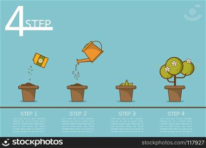 Growing plant stages. Seeds, watering can, sprout and grow plant. House plant in flower pot. Line style flat vector illustration of house plant with leaves in pot. Thin lines. Grow process.