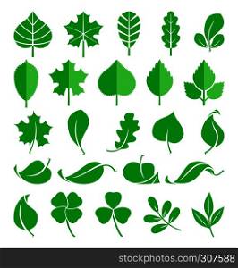 Growing plants. Leaf and grass shoots. Vector illustration in flat style. Nature green spring leaf, natural ecology flora leaf of set. Growing plants. Leaf and grass shoots. Vector illustration in flat style