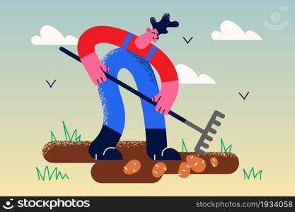 Growing potato and farming concept. Young positive man farmer with shovel standing digging ground growing and picking potato harvest vector illustration . Growing potato and farming concept.