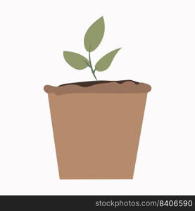 growing seed of a tree with green leaves in a pot. Young shoots rising from well-fertilized soil. Stages of growth. Vector illustration.. growing seed of a tree with green leaves in a pot. Young shoots rising from well-fertilized soil. Stages of growth. Vector illustration