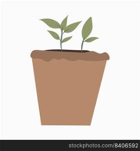 growing seed of a tree with green leaves in a pot. Young shoots rising from well-fertilized soil. Stages of growth. Vector illustration.. growing seed of a tree with green leaves in a pot. Young shoots rising from well-fertilized soil. Stages of growth. Vector illustration