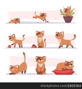 Growth cat. Kitten playing pets stages growing domestic animal exact vector cartoon characters. Illustration of domestic character grow. Growth cat. Kitten playing pets stages growing domestic animal exact vector cartoon characters
