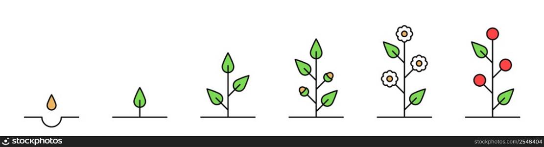 Growth stages. The cycle of life. Plant development icons. Vector. Growth stages. The cycle of life. Plant development icons. Vector illustration