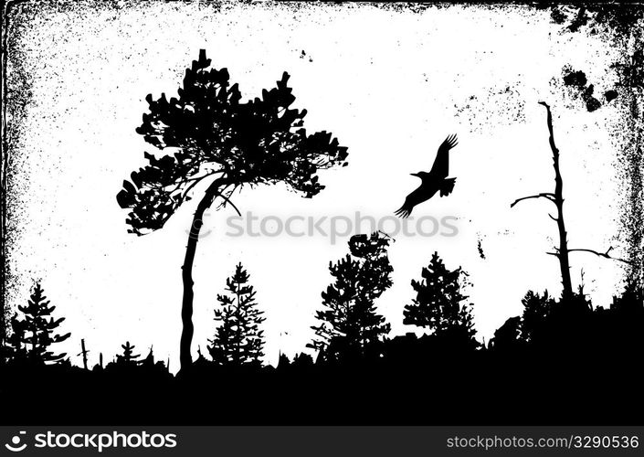grunge background
