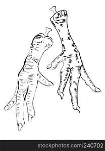 Grunge chicken feet illustration in black and white.