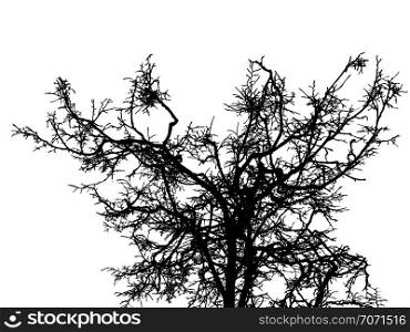 Grunge crooked tree branches without leaves, black silhouettes on white.
