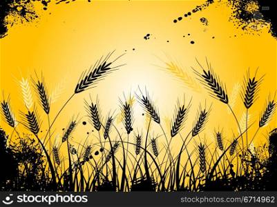 Grunge grass and ears, vector