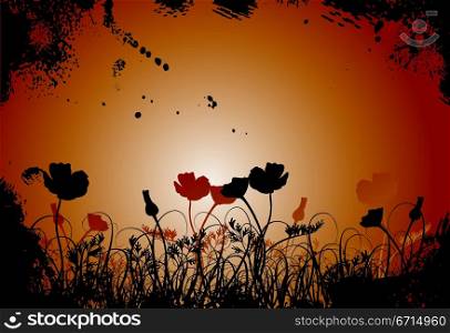 Grunge grass and poppy, vector illustration