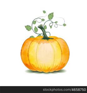 Grunge Pumpkin With Leaves On A White Background