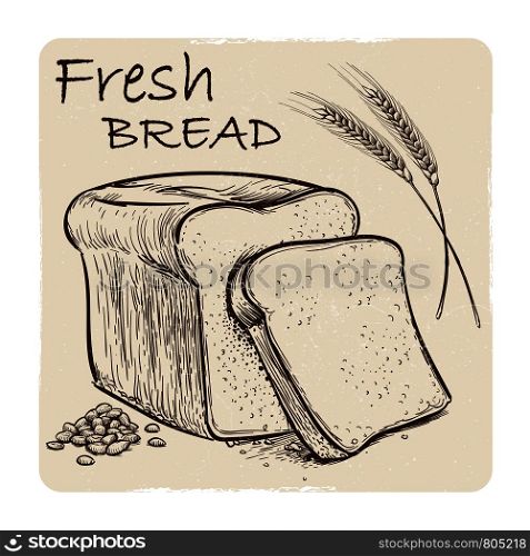 Grunge sketch of fresh bread, grains and wheat ear. Vector illustration. Grunge sketch of fresh bread, grains and wheat ear