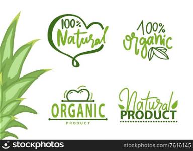 Guarantee of 100 percent organic and natural product, eco food, set of geometric label with leaves in green color, healthy symbol, vegetarian vector. Healthy Symbol, Organic Product, Eco Logo Vector