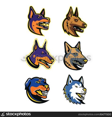 Guard Dogs Mascot Collection Set. Mascot icon illustration set of heads of guard dogs like the Australian Kelpie, Belgian Malinois, Doberman Pinscher dog, German Shepherd, Rottweiler and the Siberian Husky viewed from side on isolated background in retro style.. Guard Dogs Mascot Collection Set