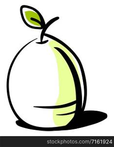 Guava drawing, illustration, vector on white background.