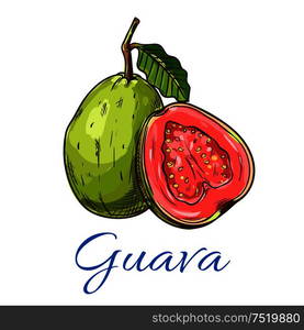 Guava. Isolated whole and cut guava fruit product emblem for juice or jam label, packaging sticker, grocery shop tag, farm store. Guava fruit vector icon