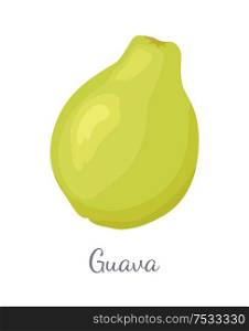 Guava or pineapple guavas exotic juicy fruit vector isolated. Tropical edible food, dieting vegetarian icon full of vitamins with eatable flesh with text. Guava Pineapple Guavas Exotic Juicy Fruit Vector