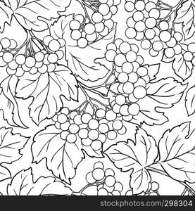 guelder rose vector pattern on white background. guelder rose vector pattern