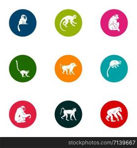 Guenon icons set. Flat set of 9 guenon vector icons for web isolated on white background. Guenon icons set, flat style