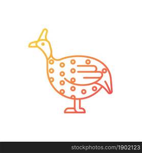 Guinea fowl gradient linear vector icon. Domesticated bird. Helmeted guineafowl. African breed. Bird selection. Thin line color symbol. Modern style pictogram. Vector isolated outline drawing. Guinea fowl gradient linear vector icon