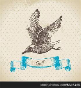 Gull. Hand drawn illustration&#x9;