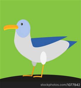 Gull, illustration, vector on white background.