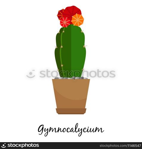 Gymnocalycium cactus in pot isolated on the white background, vector illustration. Gymnocalycium cactus in pot