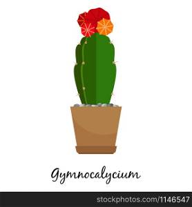 Gymnocalycium cactus in pot isolated on the white background, vector illustration. Gymnocalycium cactus in pot