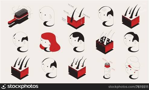 Hair problems isometric set with isolated icons of hair samples human heads and medical care products vector illustration
