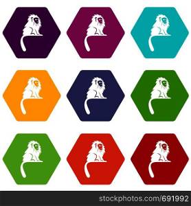 Hairy monkey icon set many color hexahedron isolated on white vector illustration. Hairy monkey icon set color hexahedron
