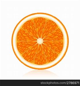 Half an orange on a white background