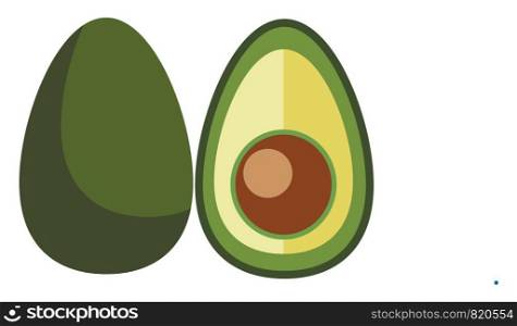 Half cut avocado/Superfood avocado vector or color illustration