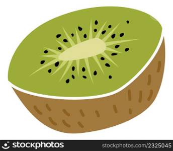 Half kiwi icon. Juicy tropical green fruit isolated on white background. Half kiwi icon. Juicy tropical green fruit