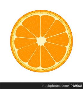 Half of fruit. Orange. vector illustration in flat style. Half of fruit. Orange.