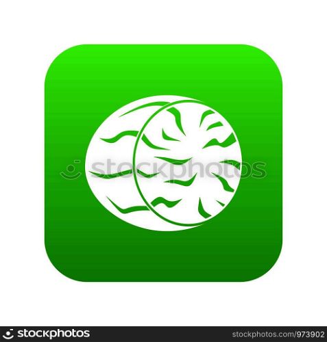 Half of nutmeg icon digital green for any design isolated on white vector illustration. Half of nutmeg icon digital green