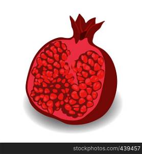 Half of Pomegranate vector illustration on a white background