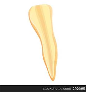 Half parsnip icon. Cartoon of half parsnip vector icon for web design isolated on white background. Half parsnip icon, cartoon style