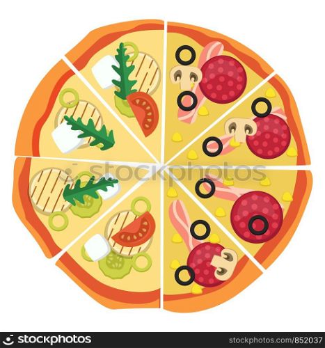 Half pepperonihalf veggie pizza illustration vector on white background