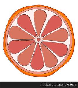 Half sliced grapefruit with orange peel and pink pulps, vector, color drawing or illustration.