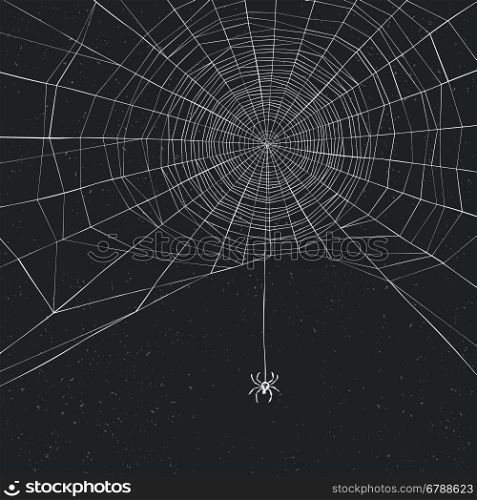 Halloween background with spider and web
