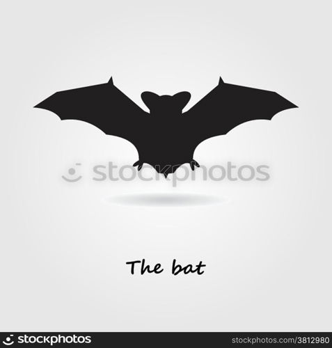 Halloween banner with bat on background