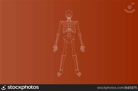 Halloween Characters of Skeleton drawing line simple.icon on brown isolate background.Creative hand sketch minimal scene place for your text.Biology body human anatomy design vector illustration EPS10