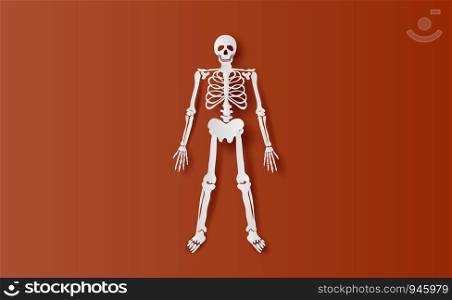 Halloween Characters of Skeleton simple bone.icon on brown isolate background.Creative paper cut and craft minimal scene place for your text.Biology body human anatomy design vector illustration EPS10