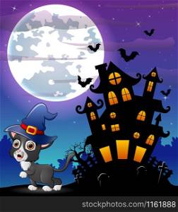 Halloween grey kitten wearing witches hat with scary castle in front of full moon