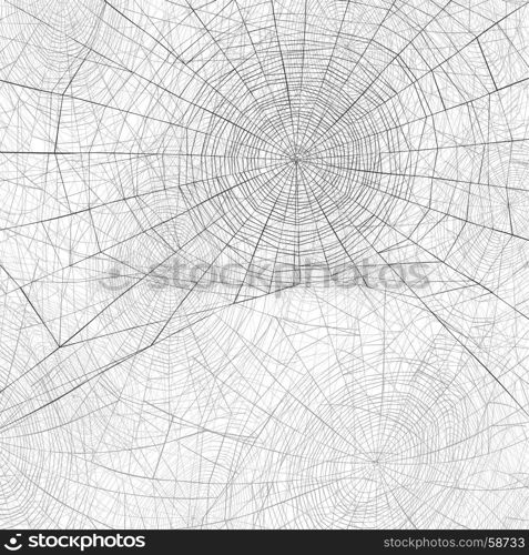 Halloween holiday background.Spider web vector background.