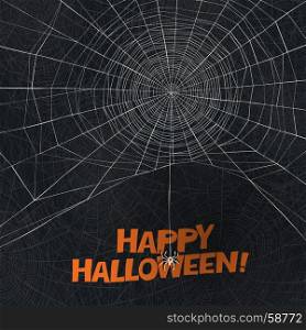 "Halloween holiday card design. Spider says "Happy Halloween". Spider web vector background. "