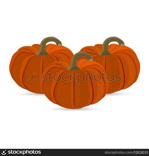 Halloween pumpkin on a white background. orange vegetable. Halloween pumpkin on a white background