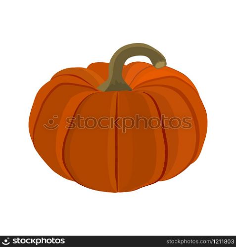 Halloween pumpkin on a white background vector illustration. Halloween pumpkin on a white background