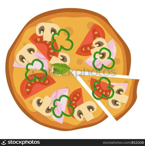 Hammushroom and tomato pizza illustration vector on white background