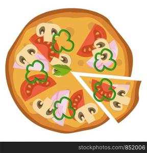 Hammushroom and tomato pizza illustration vector on white background