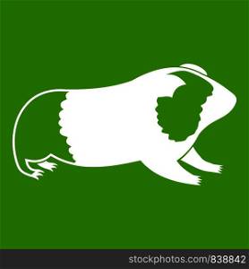 Hamster icon white isolated on green background. Vector illustration. Hamster icon green