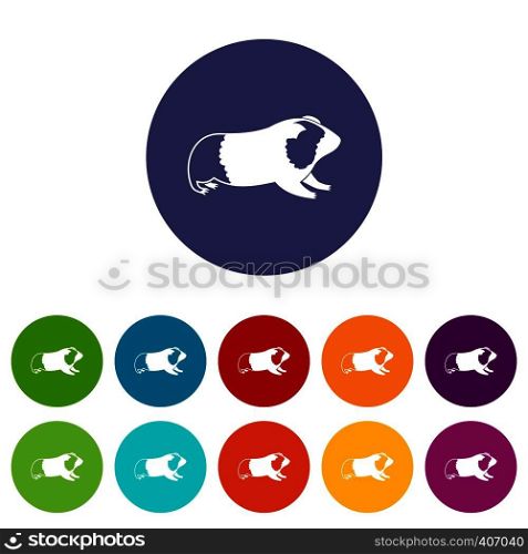 Hamster set icons in different colors isolated on white background. Hamster set icons